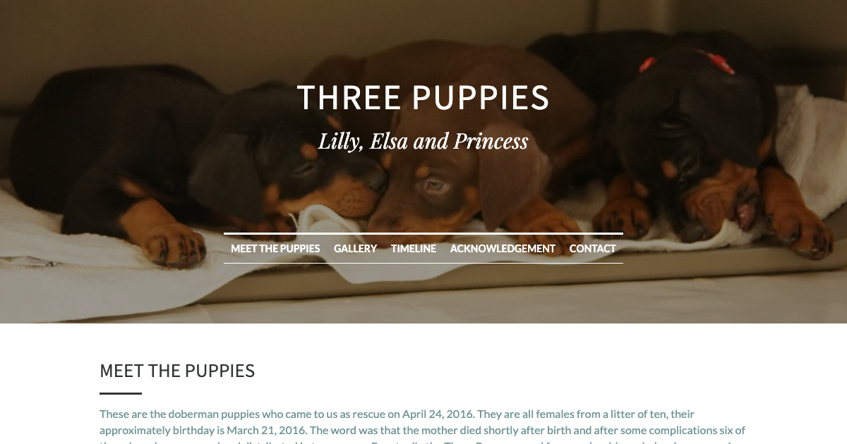 Three Puppies